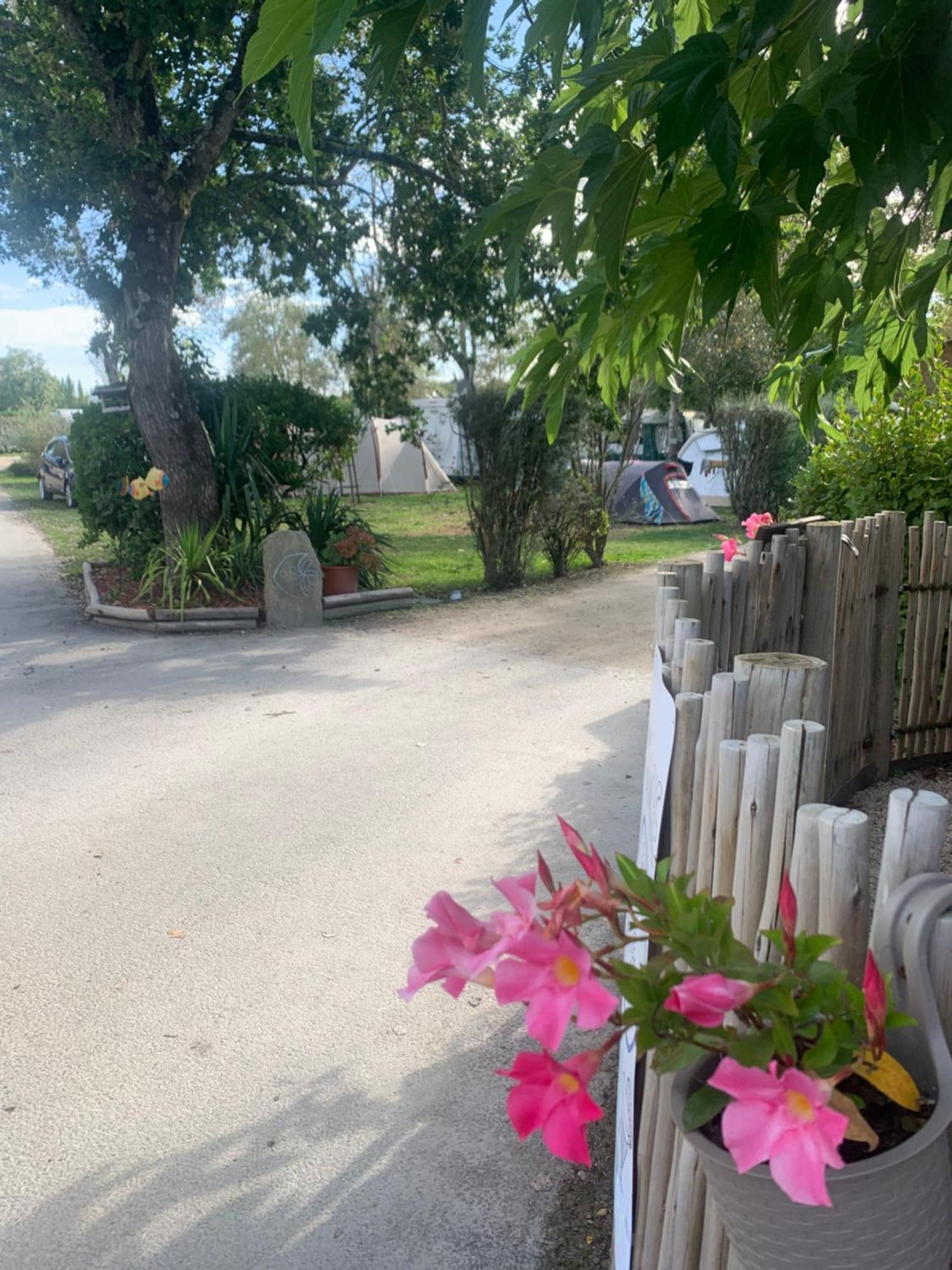 Camping Paradis Le Moulin Des Oies Belz Exterior photo